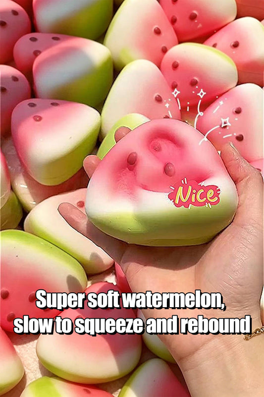 Watermelon Squishy Toy