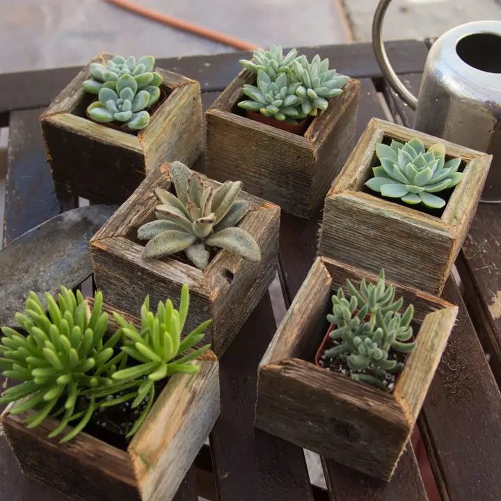 Reclaimed Wood Mini Farm Animal Planter Boxes